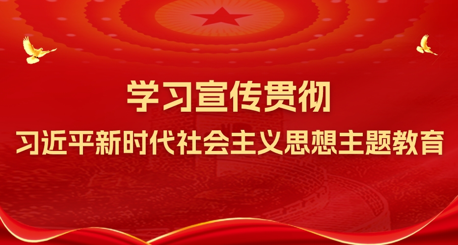 学习贯彻习近平新时代社会主义思想主题教育